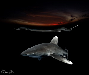 a 4 ft. dome and willingness to get in at night with whit... by Steven Miller 